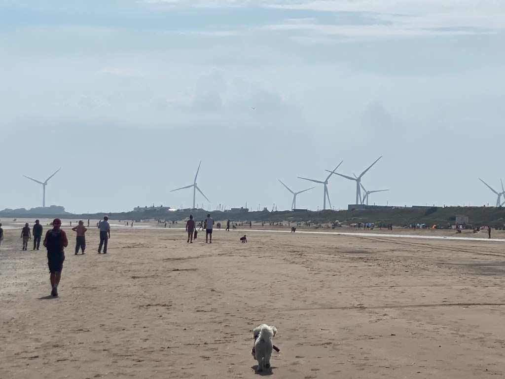 Why the Tide Is Turning Toward Green Energy