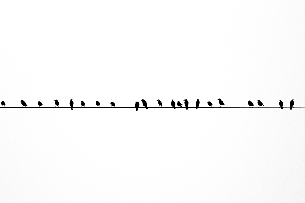 Exploring Data Visualization